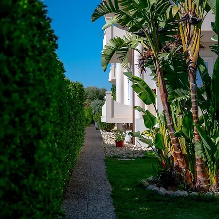 Olympus Πανσιόν 3*